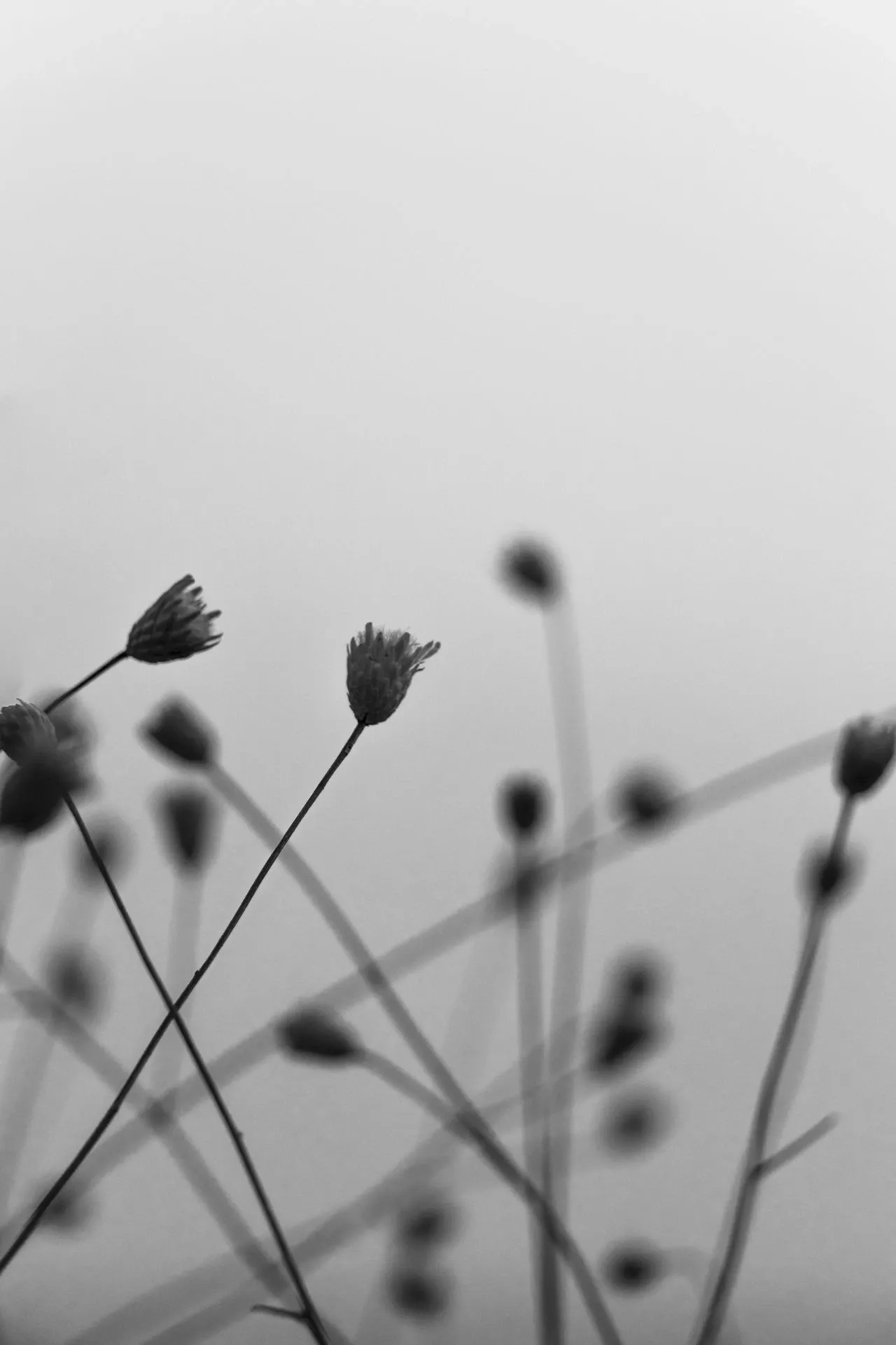 #2 Ecrire en noir et blanc